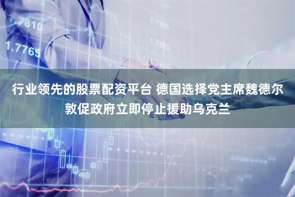 行业领先的股票配资平台 德国选择党主席魏德尔敦促政府立即停止援助乌克兰