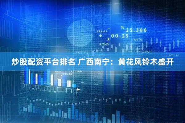 炒股配资平台排名 广西南宁：黄花风铃木盛开