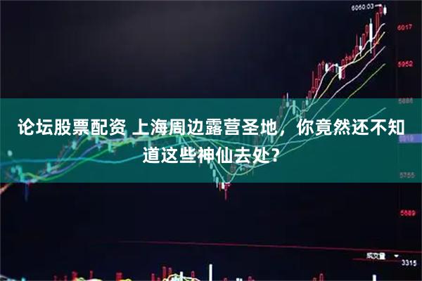 论坛股票配资 上海周边露营圣地，你竟然还不知道这些神仙去处？